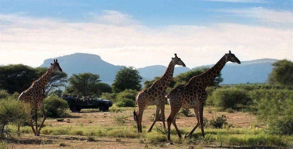 Hotel Marataba Safari Co Marakele National Park Exteriér fotografie