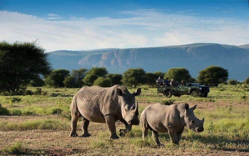 Hotel Marataba Safari Co Marakele National Park Exteriér fotografie