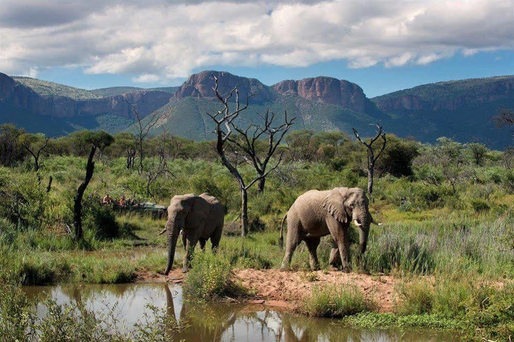 Hotel Marataba Safari Co Marakele National Park Exteriér fotografie